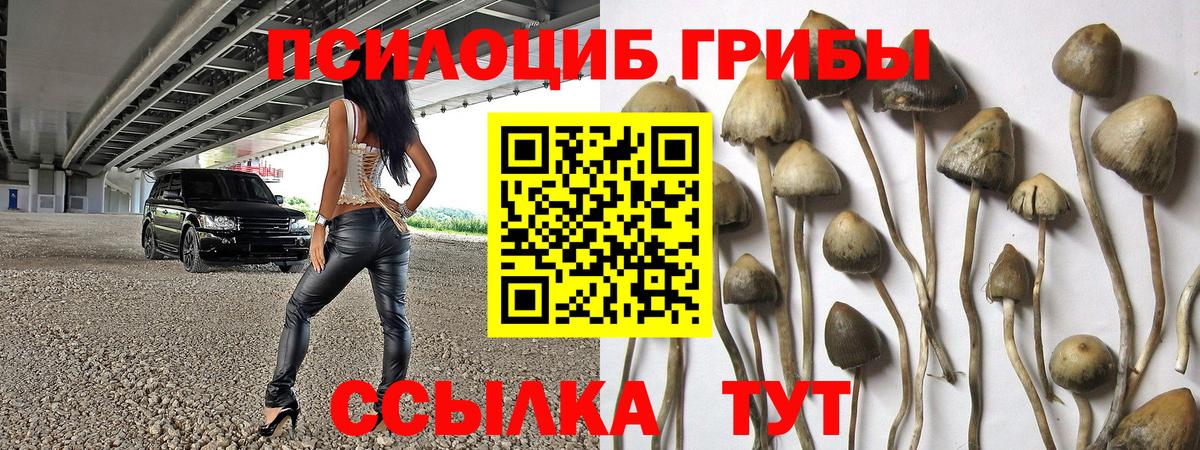Псилоцибиновые грибы MAGIC MUSHROOMS Орехово-Зуево