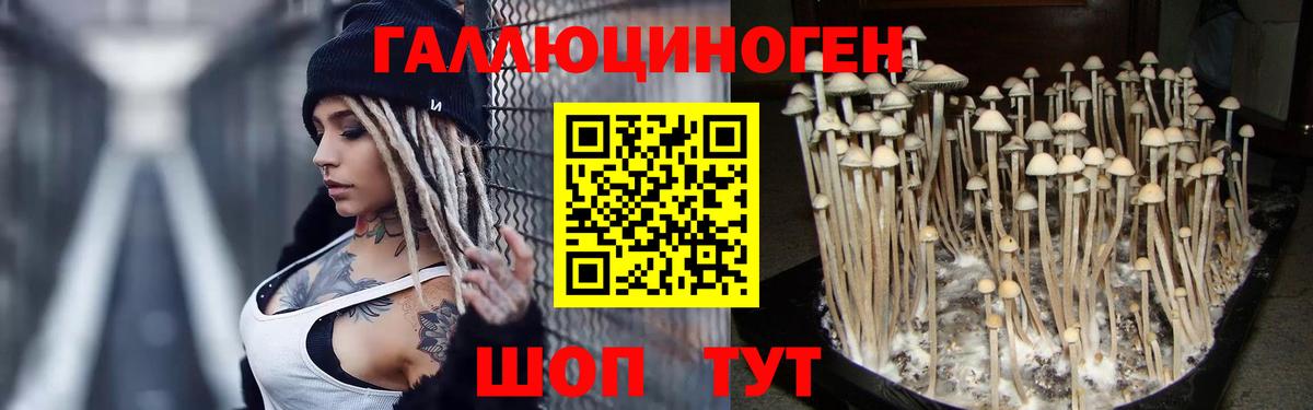 Псилоцибиновые грибы Cubensis  Галлюциногенные грибы ЛСД  Орехово-Зуево  как найти наркотики  Вход с VPN 